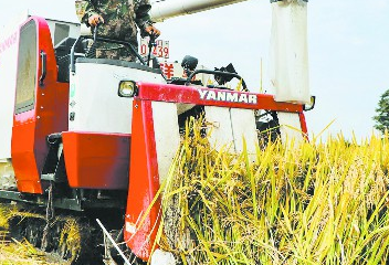 成都&ldquo;袁隆平雜交水稻科學(xué)園&rdquo;豐收啦！